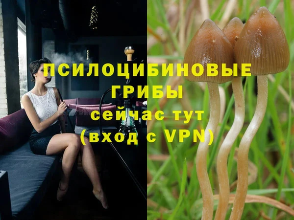 альфа пвп VHQ Белокуриха